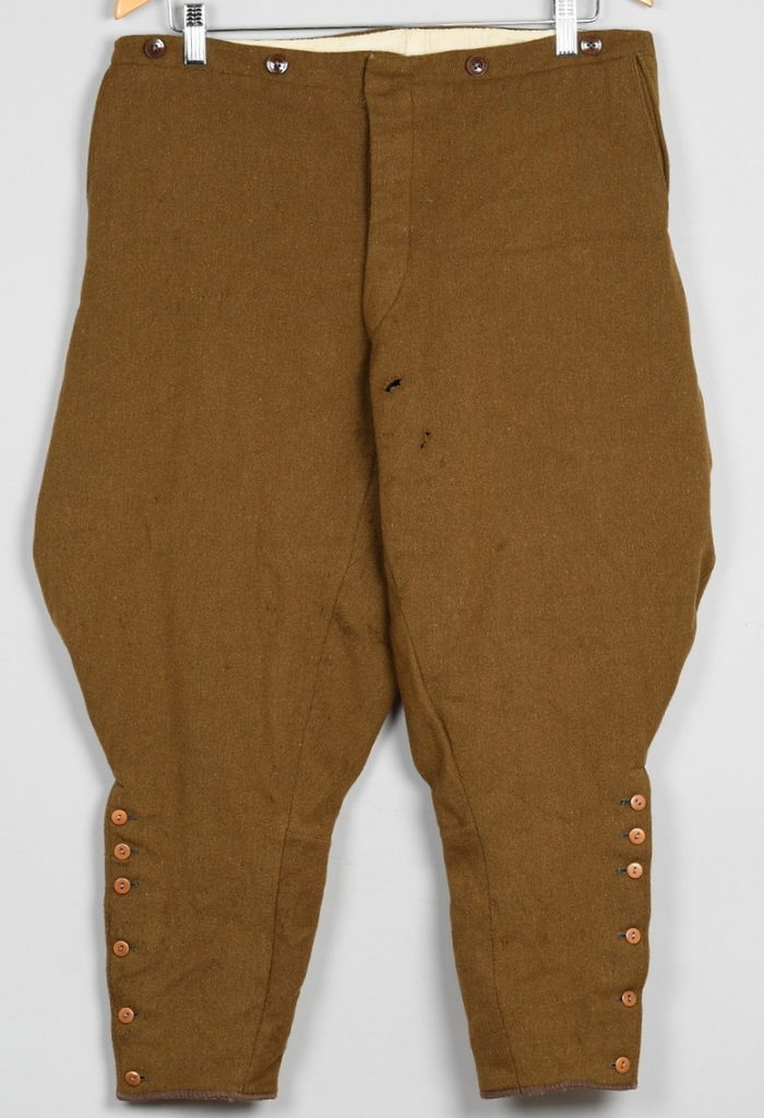 SA Or NSDAP Breeches